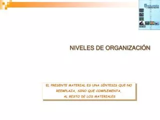 niveles de organizaci n