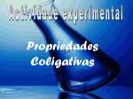 Actividade experimental - slide 1
