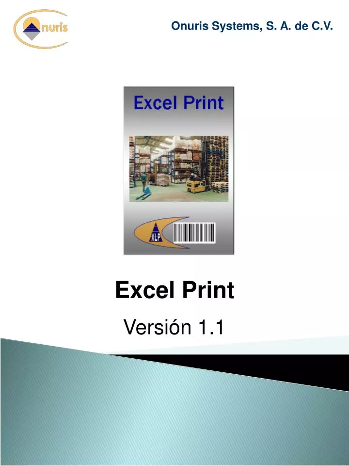 excel print