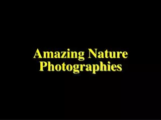 Amazing Nature Photographies