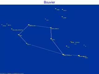 bouvier