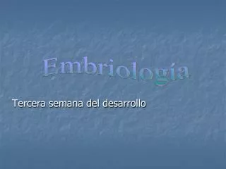 tercera semana del desarrollo