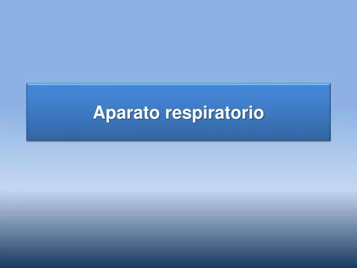 aparato respiratorio