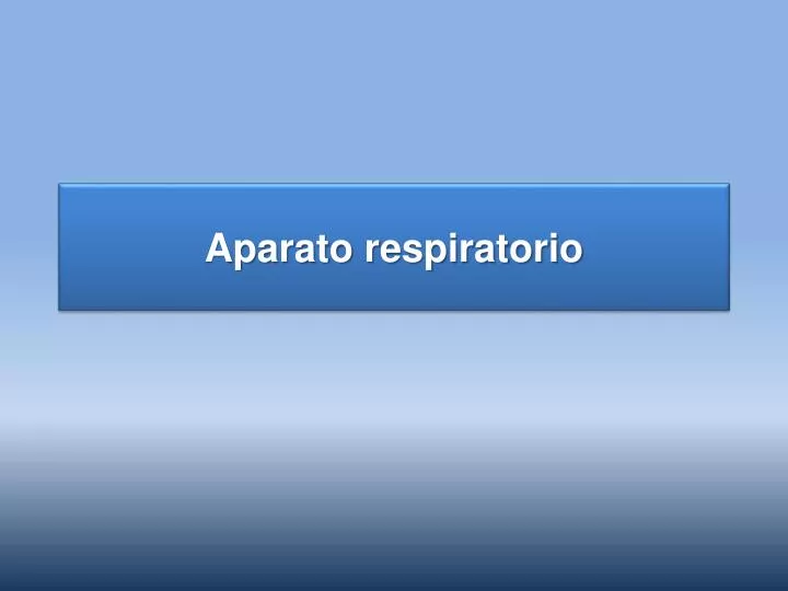 PPT - Aparato Respiratorio PowerPoint Presentation, Free Download - ID ...