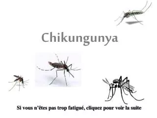 chikungunya