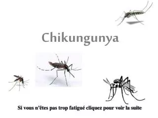 chikungunya