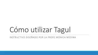 c mo utilizar tagul
