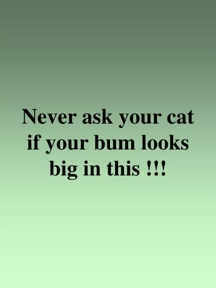 never ask your cat if your bum looks big in this