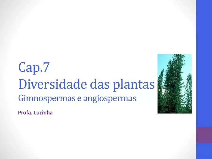 cap 7 diversidade das plantas gimnospermas e angiospermas