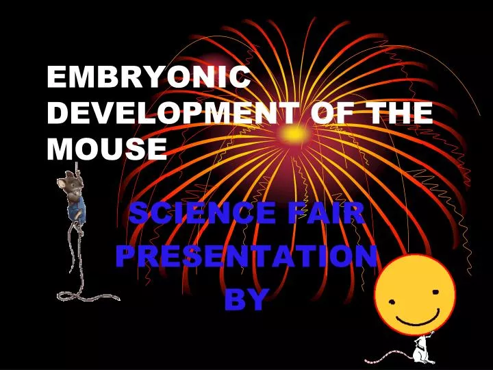 embryonic development of the mouse