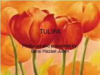 TULIPA