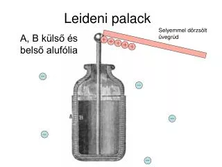 leideni palack