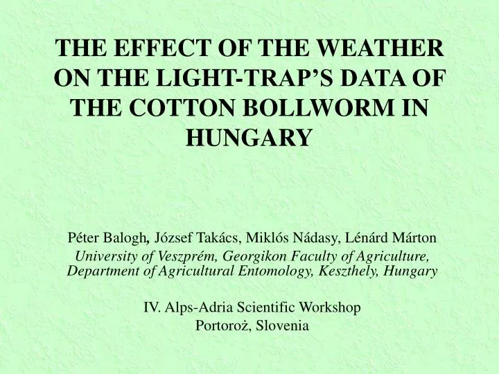the effect of the weather on the light trap s data of the cotton bollworm in hungary