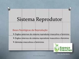 sistema reprodutor