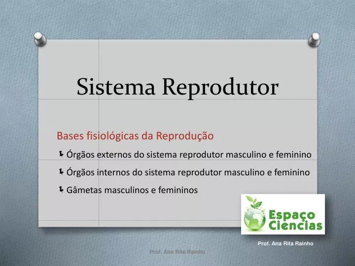 sistema reprodutor