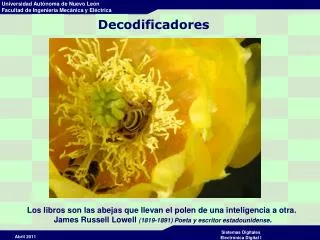 decodificadores