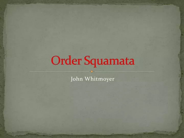 order squamata