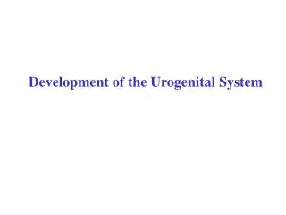 Development of the Urogenital System