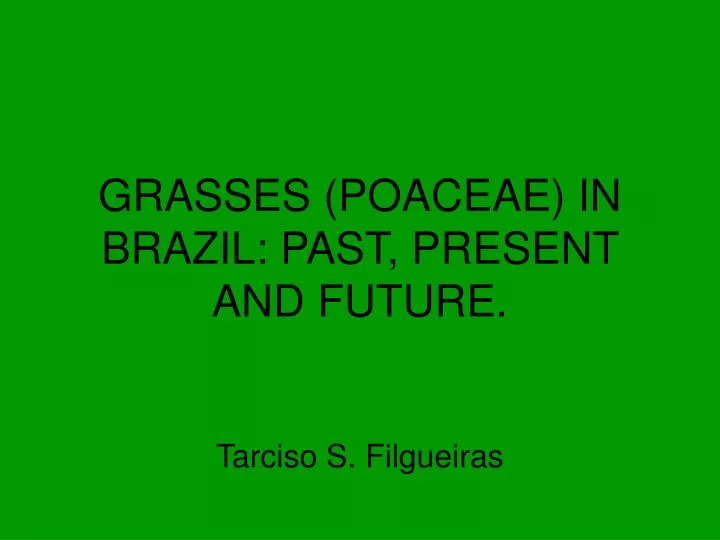 grasses poaceae in brazil past present and future