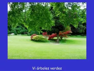 vi rboles verdes