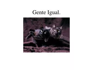 gente igual
