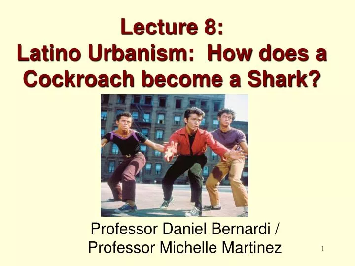 lecture 8 latino urbanism how does a cockroach become a shark