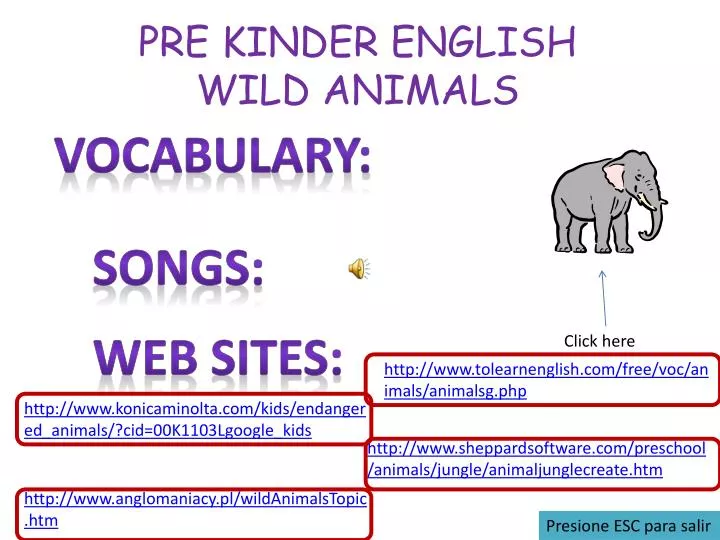 pre kinder english wild animals