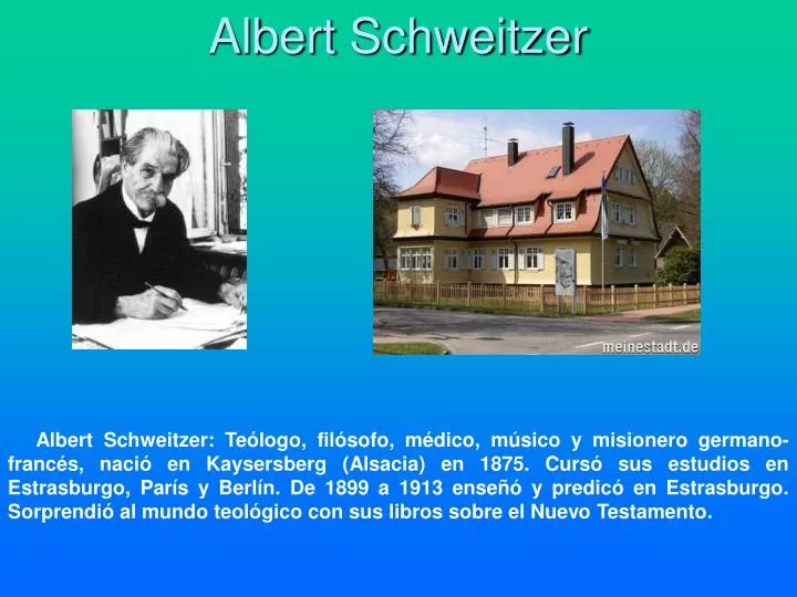 albert schweitzer