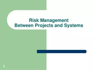 Risk Management Between Projects and Systems