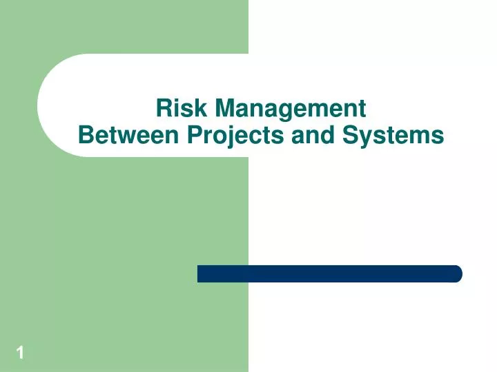 risk management between projects and systems