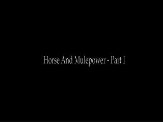 Horse And Mulepower - Part I