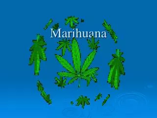 marihuana