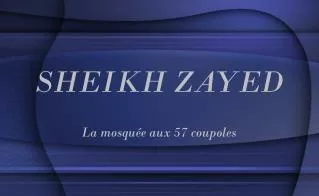 sheikh zayed