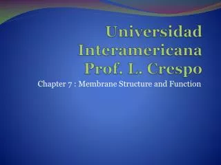Universidad Interamericana Prof. L. Crespo