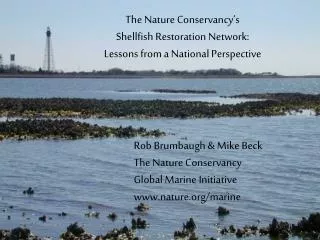 Rob Brumbaugh &amp; Mike Beck The Nature Conservancy Global Marine Initiative nature/marine