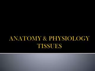 ANATOMY &amp; PHYSIOLOGY TISSUES