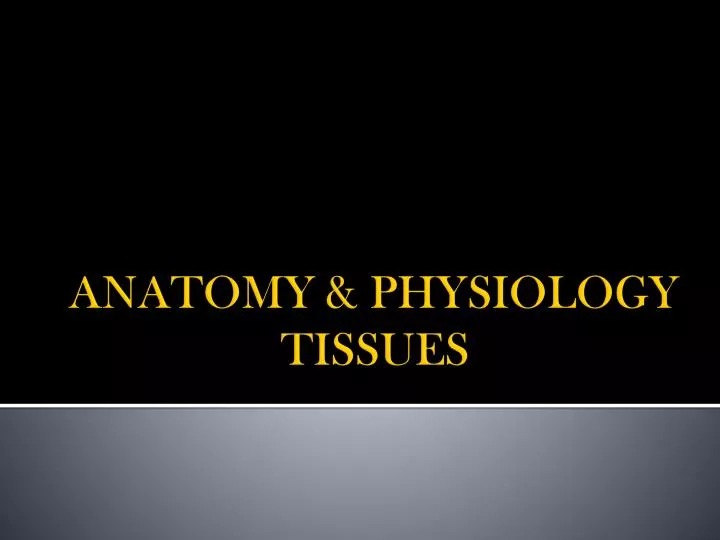anatomy physiology tissues