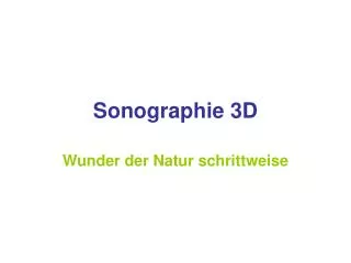 sonographie 3d