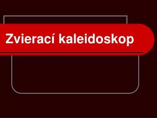 zvierac kaleidoskop