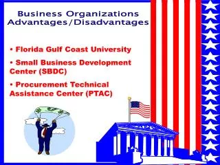 Business Organizations Advantages/Disadvantages