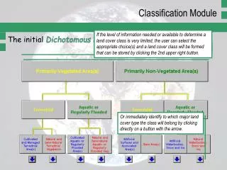 The initial Dichotomous Phase of LCCS