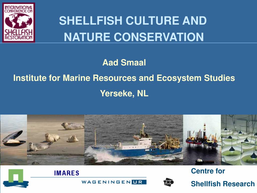 PPT - SHELLFISH CULTURE AND NATURE CONSERVATION PowerPoint Presentation ...