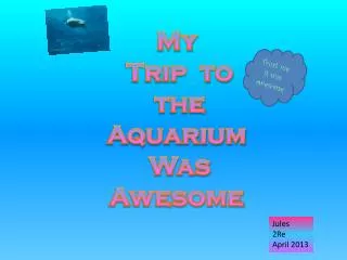 My Trip to the Aquarium Was Awesome