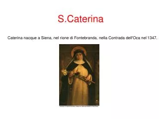 s caterina