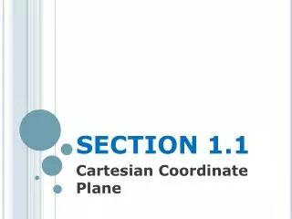 SECTION 1.1
