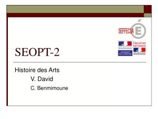 seopt 2