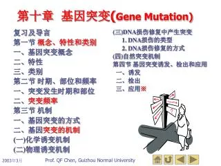 gene mutation