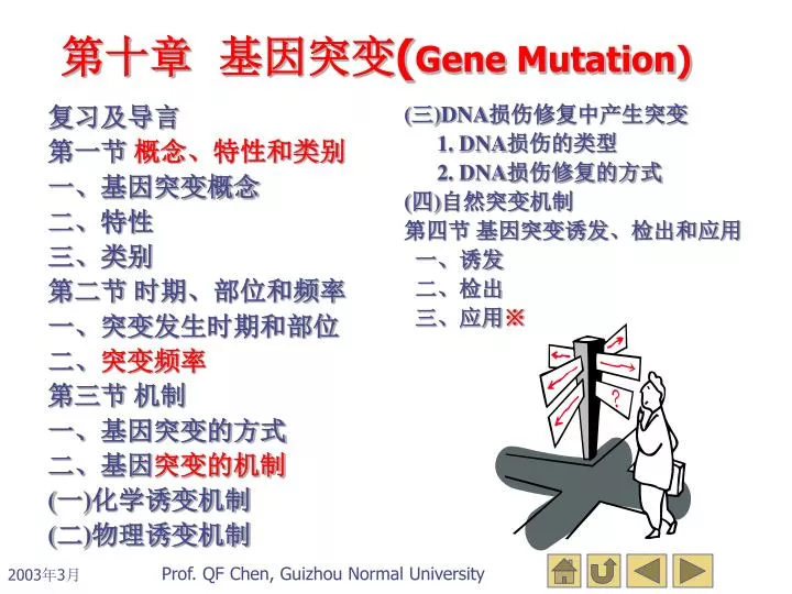 gene mutation