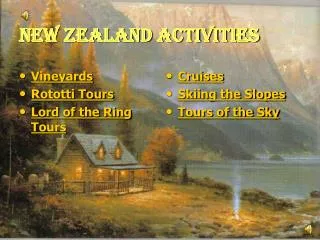 NEW ZEALAND ACTIVITIES