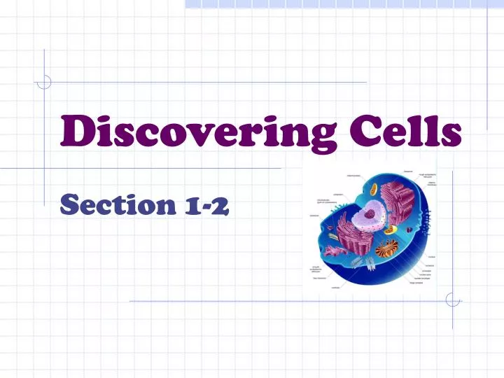 discovering cells